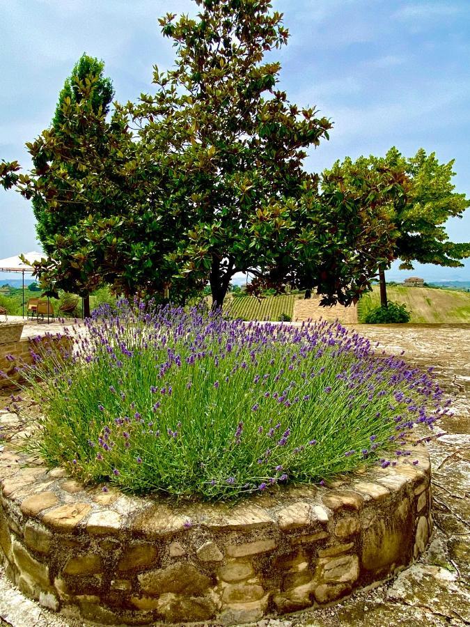 B&B Santa Caterina 아쿠아비바 피세나 외부 사진